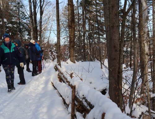 Bulletin janvier-février 2026